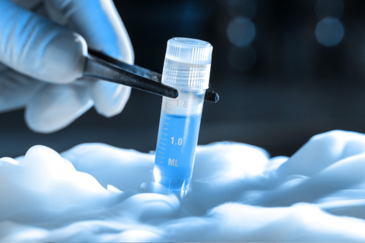 Frozen Embryo Transfer Service