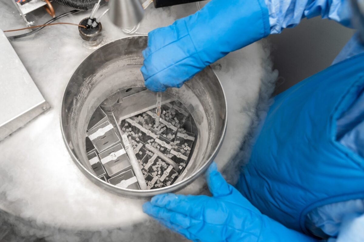 Egg Freezing Service