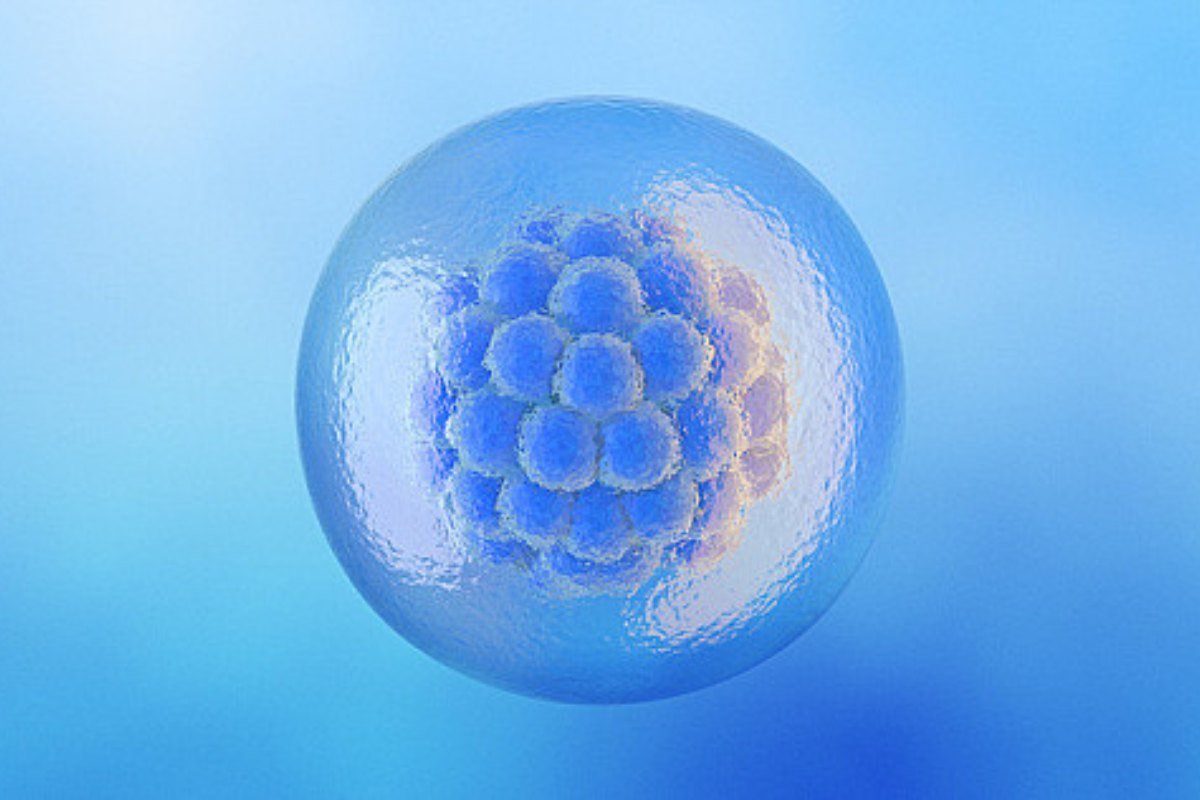 Embryo Donation Service