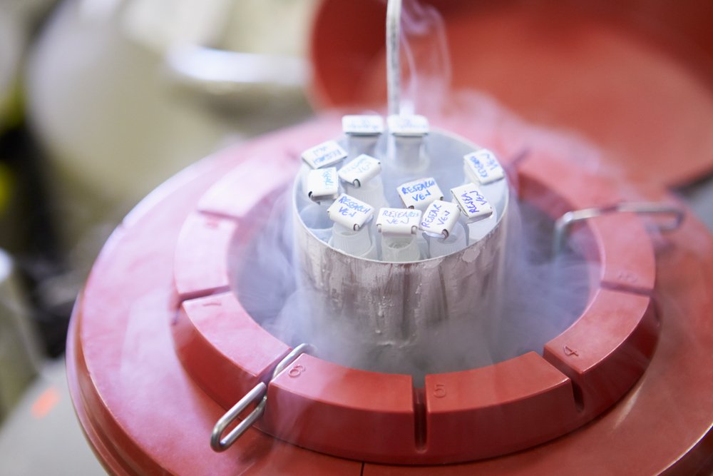 Cryopreservation Service