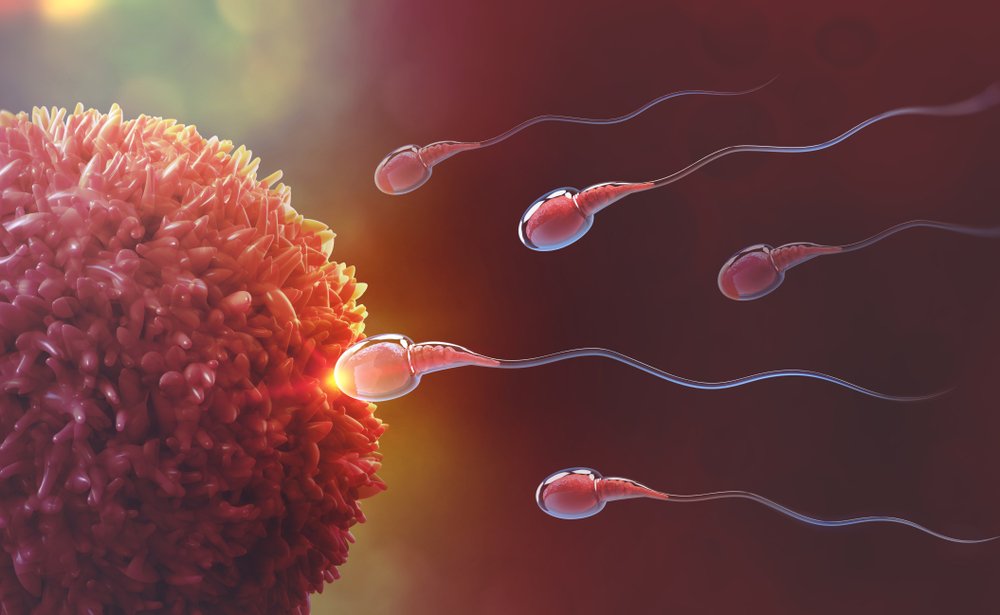 Oocyte Donor Treatment
